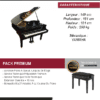 yamaha c1 silent disklavier noir laqué piano à queue paris