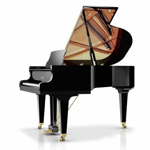 schimmel c169 tradition (copie)